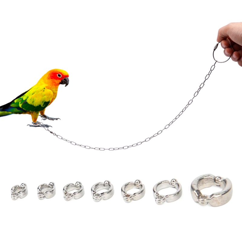 Stainless Steel Parrot Leg Rin - огляд і ціна Anklet Foot Chain