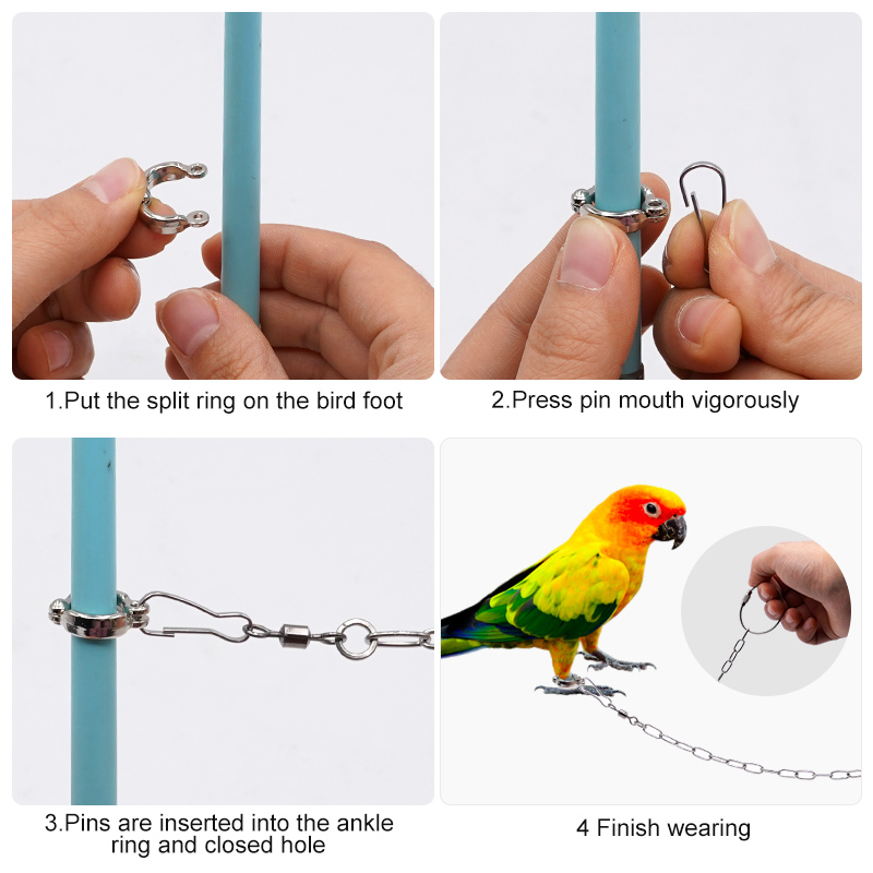 Stainless Steel Parrot Leg Rin - огляд і ціна Anklet Foot Chain