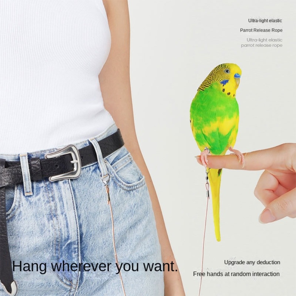 Elastic Parrot Traction Rope M - огляд і ціна Anklet Foot Chain